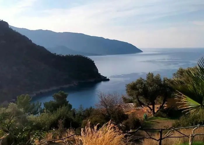 Kök Kamp Orman Evi Fethiye